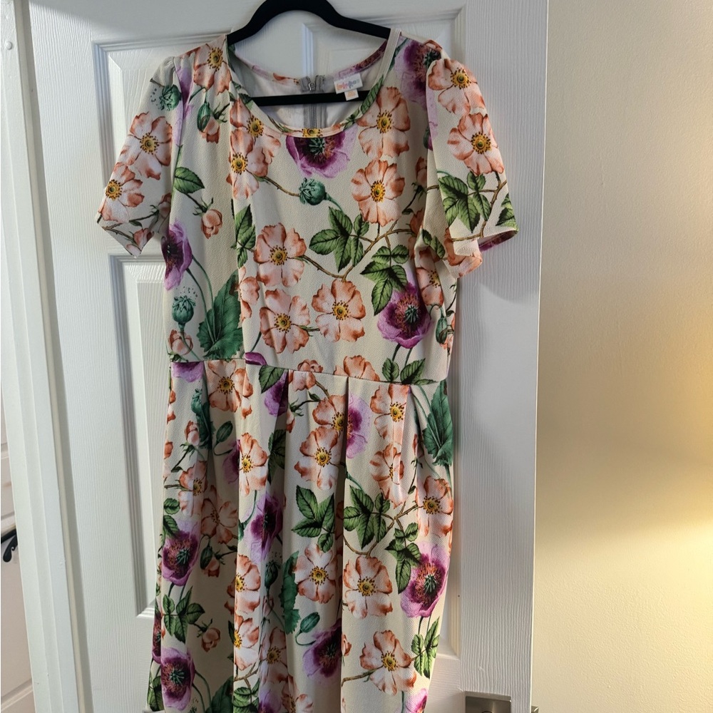 LuLaRoe Green and Pink Pleated Midi Sundress